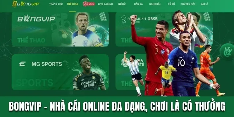 bongvip